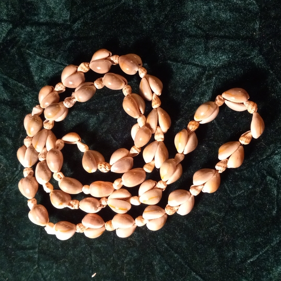 F-23 Sea Shell necklace lot - Picture 3 of 6